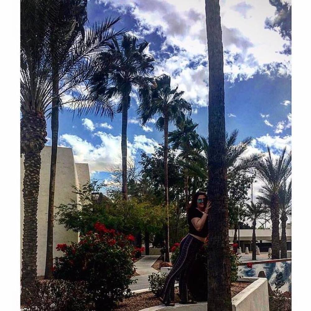 Meet your Posher, Taylor